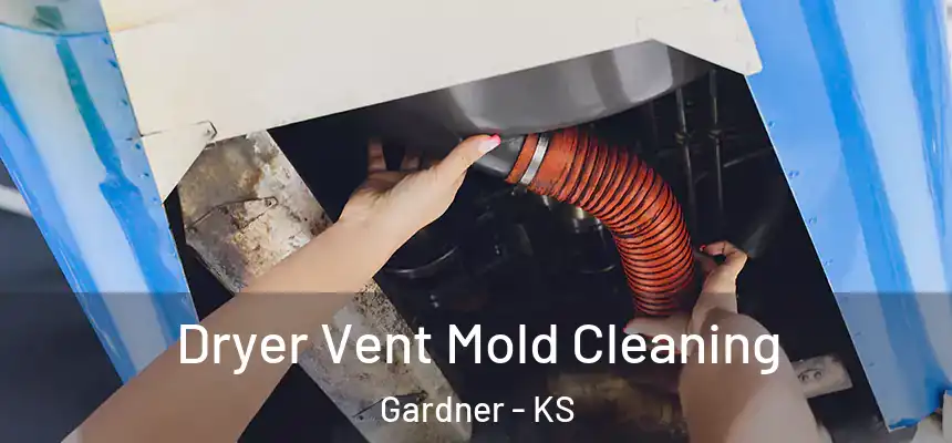 Dryer Vent Mold Cleaning Gardner - KS