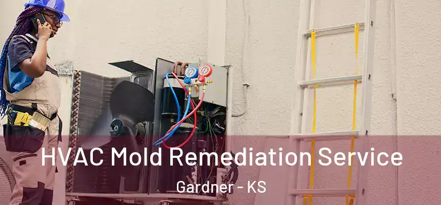  HVAC Mold Remediation Service Gardner - KS