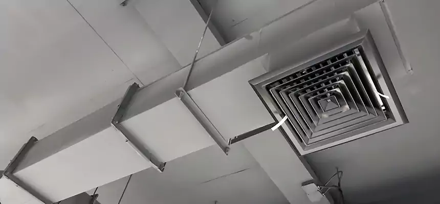 Our Rodent Droppings In Vents Services in Gardner, KS