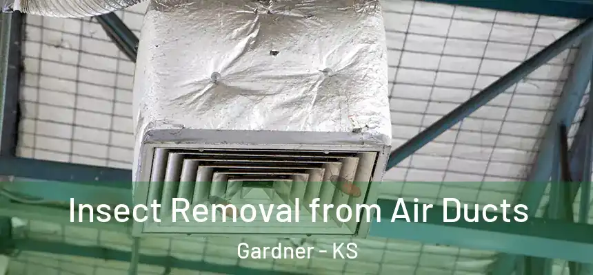  Insect Removal from Air Ducts Gardner - KS