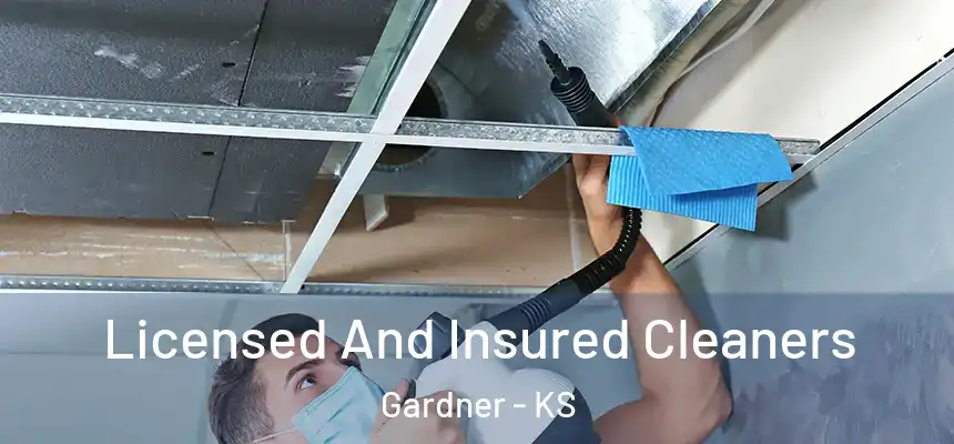 Licensed And Insured Cleaners Gardner - KS