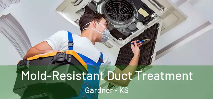  Mold-Resistant Duct Treatment Gardner - KS