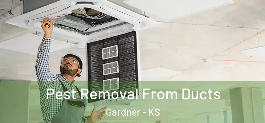 Pest Removal From Ducts Gardner - KS