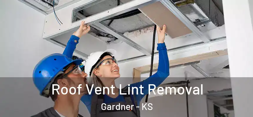  Roof Vent Lint Removal Gardner - KS