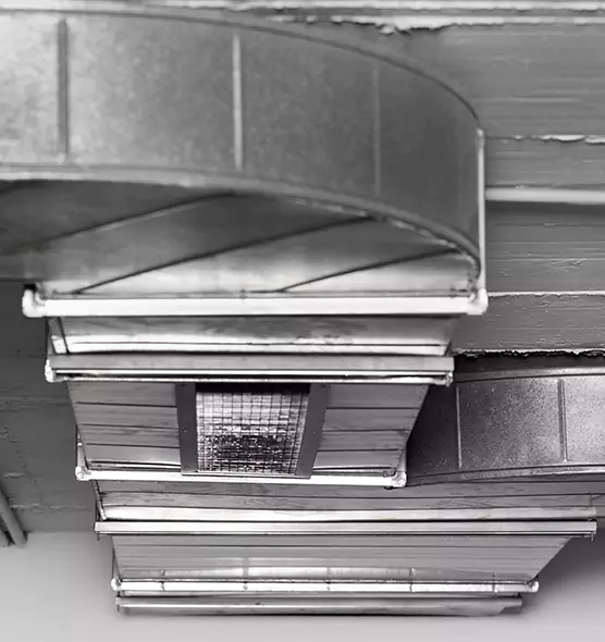 Professional Air Duct Pest Removal in Gardner, KS