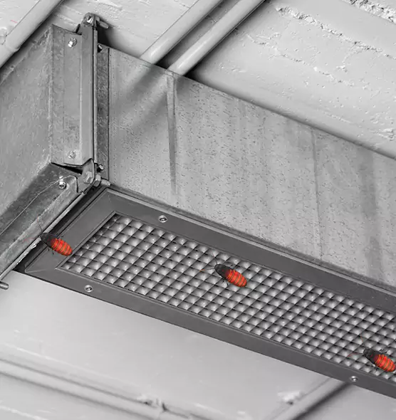 Affordable Insect Removal from Air Ducts in Gardner, KS