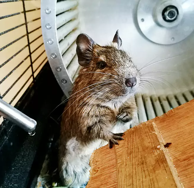 Why Homeowners & Businesses Trust Us Gardner, KS